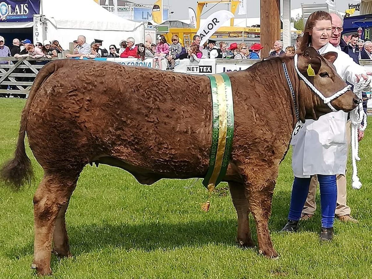 Best In Show for Lucy Rodgers! Featured Image