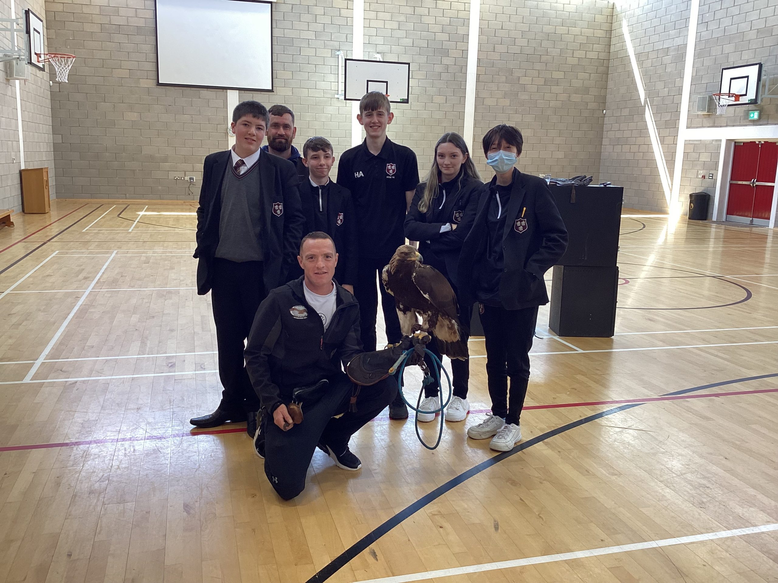 The NI School of Falconry visit. Featured Image